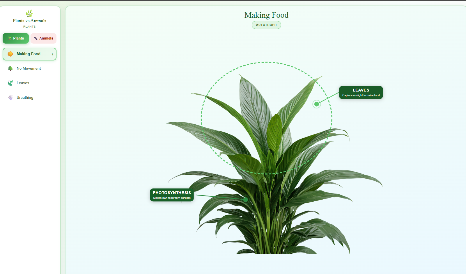 Difference between Animal and Plants based on Life Process