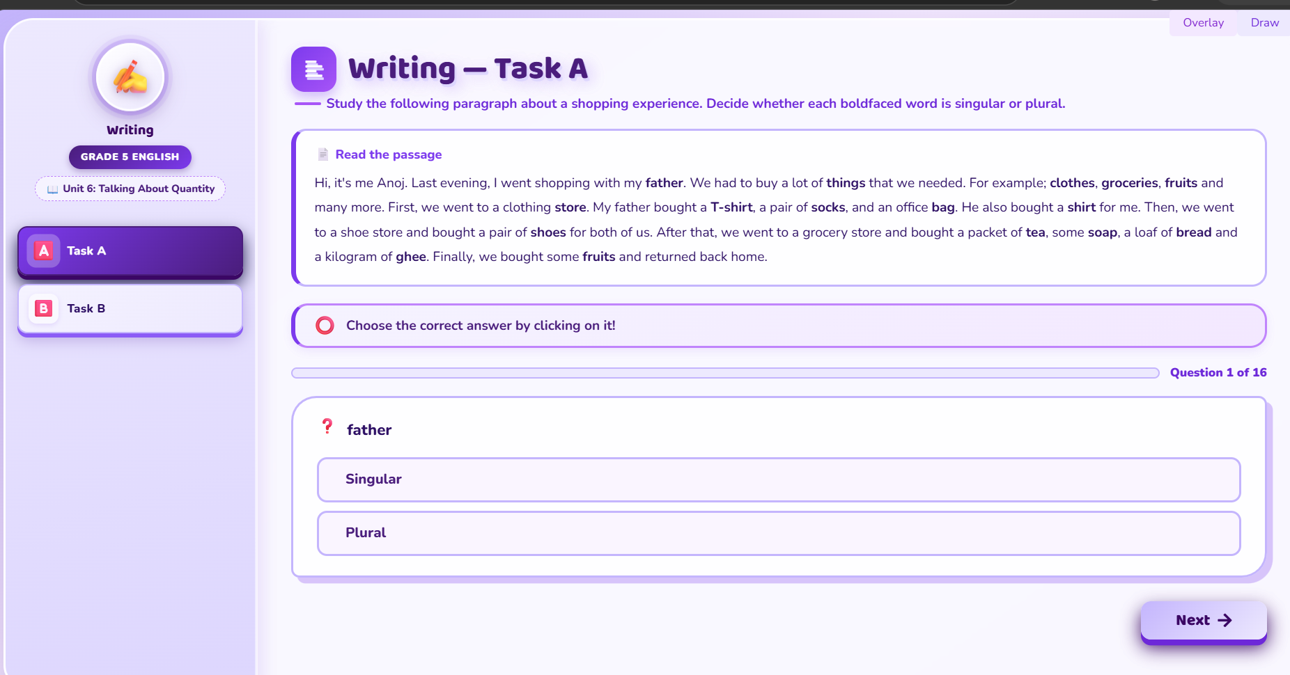 Writing : singular and plural nouns in a paragraph