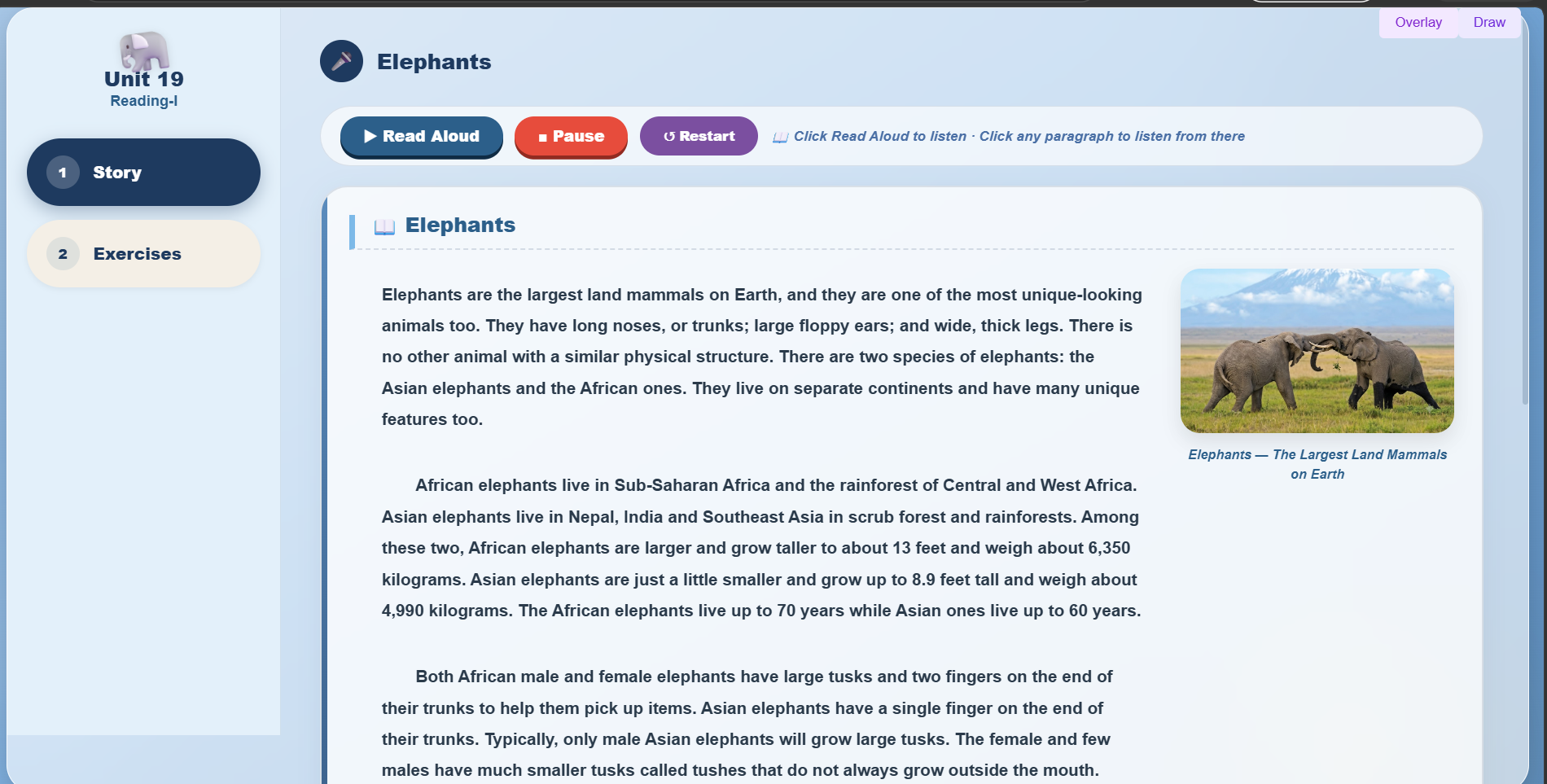 Reading I: Elephants